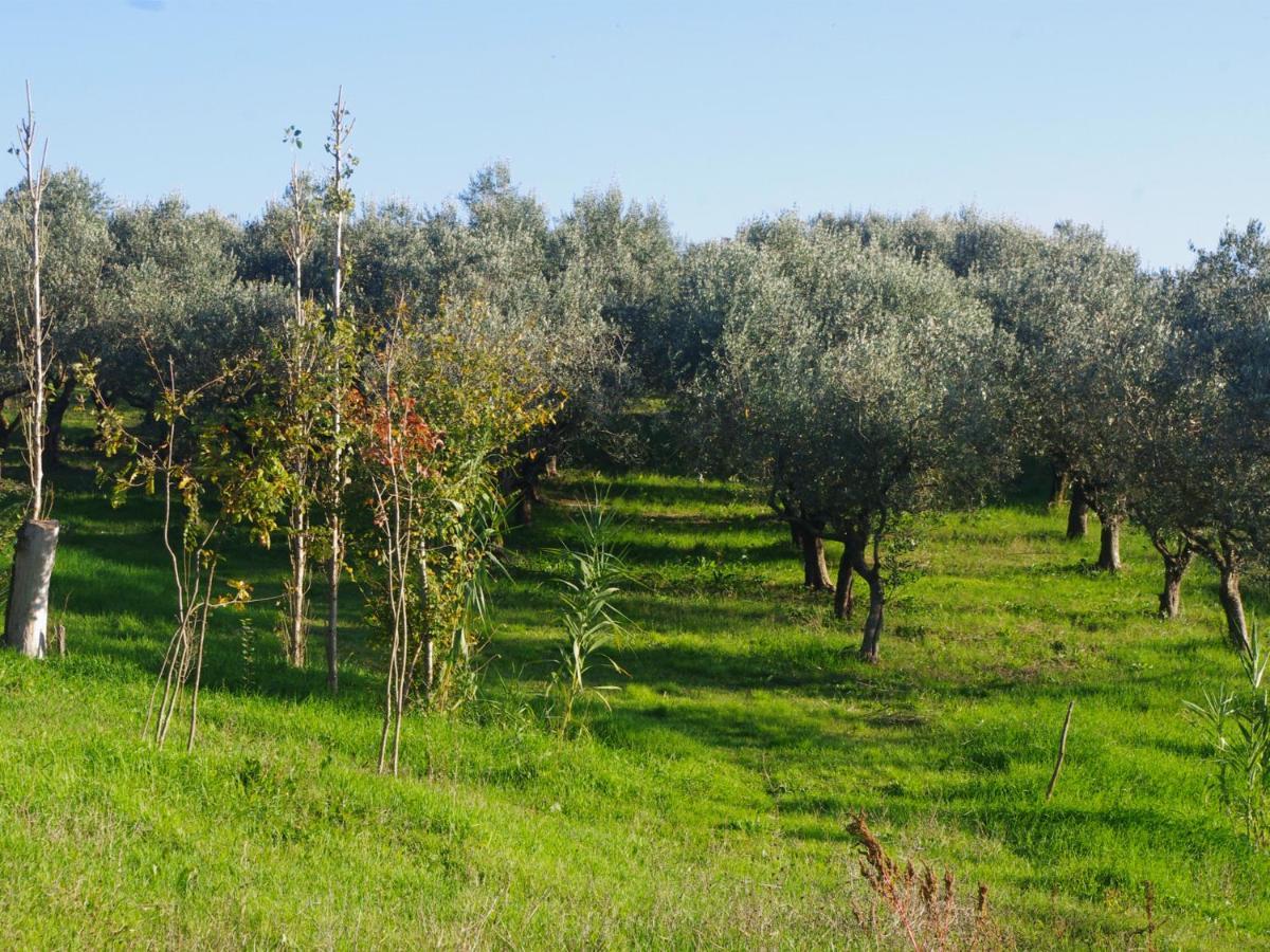 Le Piracante Bed & Breakfast Caiazzo Exterior photo